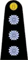 Exército Argentino(Capitán)