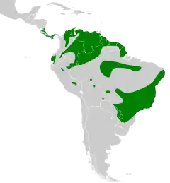 Distribuição geográfica da marianinha-amarela.