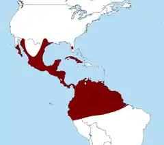 Distribuição de Caracara cheriway
