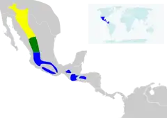 &nbsp;&nbsp;&nbsp;&nbsp;&nbsp;&nbsp;Época de reprodução&nbsp;&nbsp;&nbsp;&nbsp;&nbsp;&nbsp;Época de reprodução e inverno&nbsp;&nbsp;&nbsp;&nbsp;&nbsp;&nbsp;Época de inverno