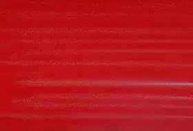 Cultura de Cardiobacterium hominis