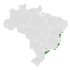 Distribuição do sabiá-pimenta
