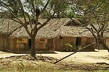 Casa de coco-palmeira (babaçu) no Maranhão