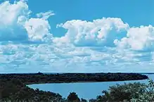 Mata Atlântica na Cascalheira