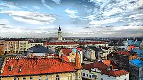 Horizonte de Drohobych