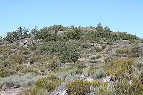 Castro de Lama de Ouriço