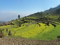 Horizonte de Sindhuli