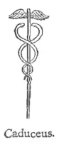 O caduceu