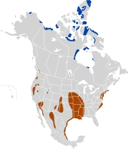 Azul: área de nidificação; ocre: área de invernagem.