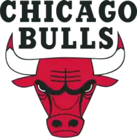 Chicago Bulls logo