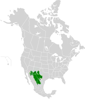 Mapa do deserto de Chihuahua na América do Norte
