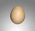 Um ovo de cor "branco-creme" ou "pessego".