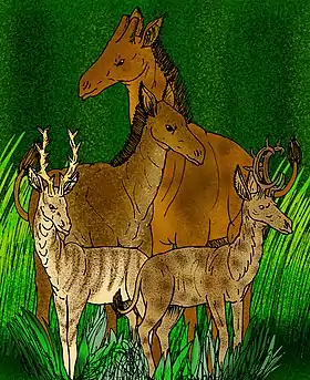 Climacoceras gentryi