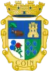 Brasão de armas de Coín