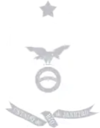 Prata:&nbsp;&nbsp;100%