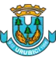 Brasão de armas de Urubici