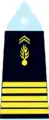 França (Gendarmarie):Colonel