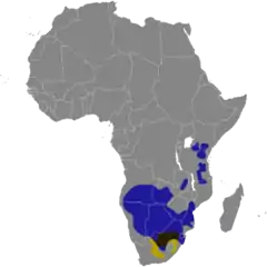 Distribuição do gnu-de-cauda-branca em amarelo, do gnu-de-cauda-preta em azul, sobreposição das duas espécies em marrom