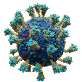 Scientifically accurate atomic model of the external structure of SARS-CoV-2. Each "ball" is an atom.