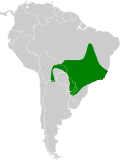 Distribuição do estalador