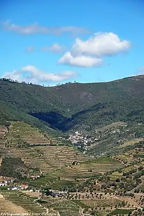 Covas do Douro