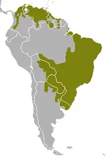 Distribuição do graxaim-do-mato