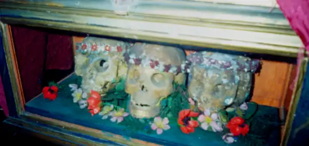 Crânio de Santa Febrônia (centro) em San Carlo ai Catinari, Roma