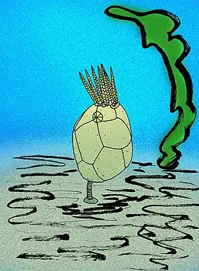 Cryptocrinites, um equinodermo.