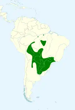 Distribuição da gralha-de-crista-negra