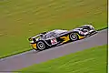 O Panoz GTR-1, carro da equipe no campeonato FIA GT de 1997.