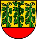 Brasão de Grafenberg