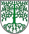 Brasão de Hagenbach