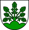 Brasão de Haslach