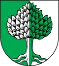 Brasão de Holzheim