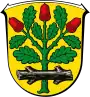 Brasão de armas de Langen