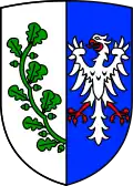 Brasão de Saalstadt