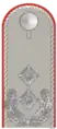 Exército Alemão(Oberstleutnant)