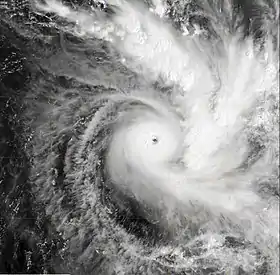 imagem ilustrativa de artigo Ciclone Daman