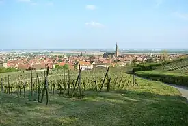 Vista de Dambach-la-Ville