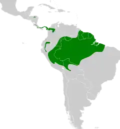 Distribuição do arapaçu-rabudo na América do Sul