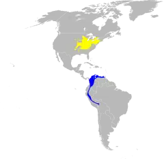 Distribuição de S. cerulea &nbsp;&nbsp;Reprodução&nbsp;&nbsp;Invernante