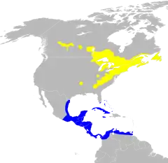 Distribuição de S. virens (nota: faltando a distribuição em Hispaniola e Porto Rico) 
Amarelo: Distribuição na reprodução
Azul: Distribuição na invernada