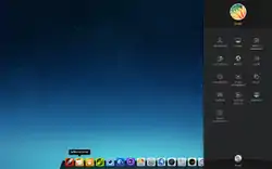 Captura do écran do Linux Deeping