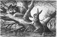 A Lebre correndo pela vida, e a Raposa pelo alimento