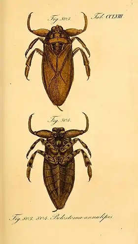 Ilustração de um indivíduo