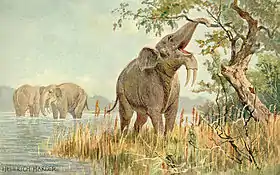Deinotherium, um proboscídeo
