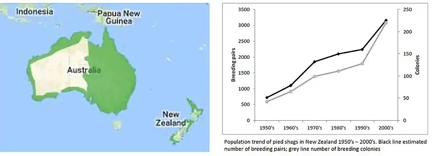 Distribuição do corvo marinho na Austrália e na Nova Zelândia e as tendências populacionais na Nova Zelândia