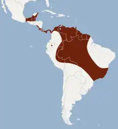 Distribuição de Lampronycteris brachyotis