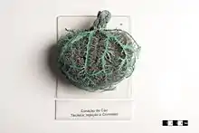 Coração de cão após a técnica de vinilite e corrosão. Em exposição no MAV/USP.