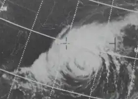 imagem ilustrativa de artigo Furacão Doria